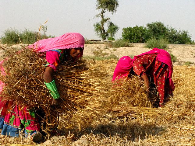 International Day of Rural Women