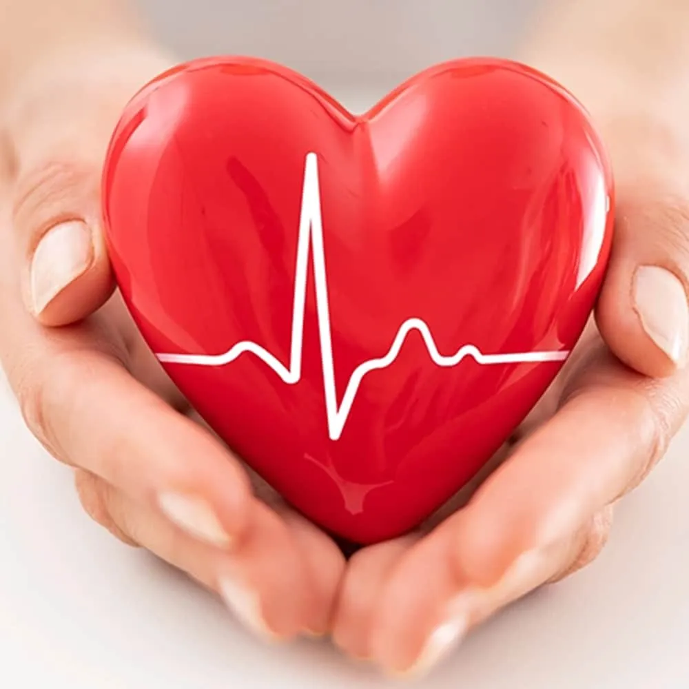 a picture showing a human heart held on hand with a representation of heart beat line on the heart