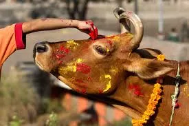 Gaigoru Puja